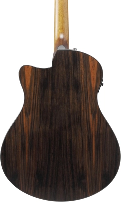 Advanced Auditorium with Advanced Access Cutaway Acoustic/Electric Guitar - Transparent Charcoal Burst