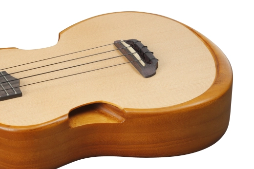 Open Pore Tenor Ukulele with Gigbag - Natural