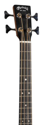 000CJR-10E Junior Series Acoustic/Electric Bass with Gigbag - Spruce