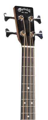 000CJR-10E Junior Series Acoustic/Electric Bass with Gigbag - Burst