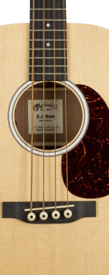 DJR-10E Junior Series Acoustic/Electric Bass with Gigbag - Spruce