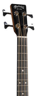 DJR-10E Junior Series Acoustic/Electric Bass with Gigbag - Spruce
