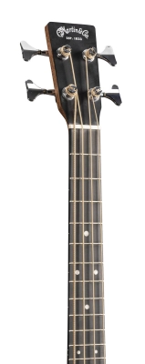 DJR-10E Junior Series Acoustic/Electric Bass with Gigbag - Burst