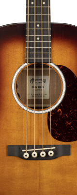 DJR-10E Junior Series Acoustic/Electric Bass with Gigbag - Burst