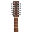 D-X2E Brazilian Dreadnought 12-String Acoustic/Electric Guitar with Gigbag
