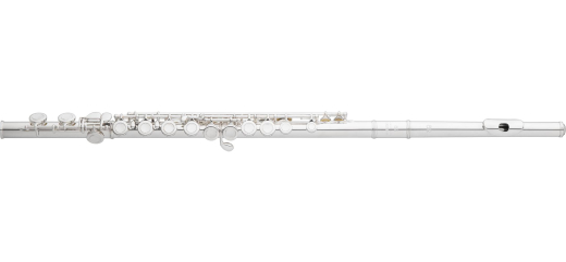 EFL210 Student Flute with Offset G and C Footjoint