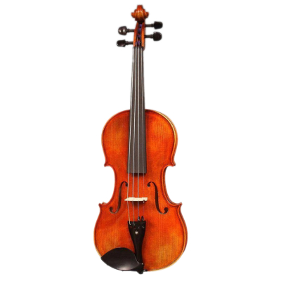 ARS - AM028 4/4 Violin - Flamed Maple, Violin Only