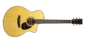 Martin Guitars - SC-18E Standard Series Acoustic\/Electric Guitar with Hardshell Case