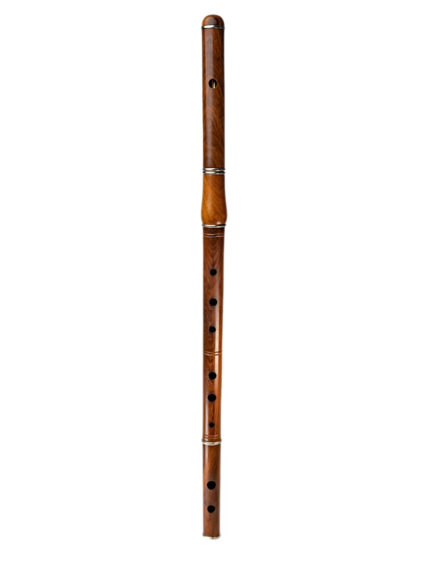 Rosewood Irish Flute with Case