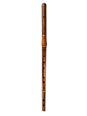 McNeela Instruments - Rosewood Irish Flute with Case