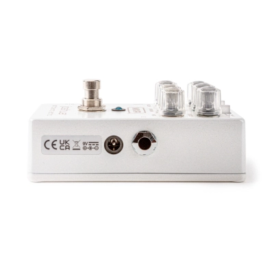 Joshua Ambient Echo Pedal