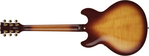 SA2200 Semi-Hollow Electric Guitar with Case - Violin Burst