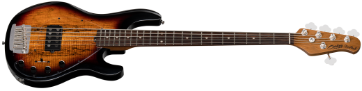 StingRay 5 RAY35 with Spalted Maple Top 5-String Electric Bass - 3-Tone Sunburst