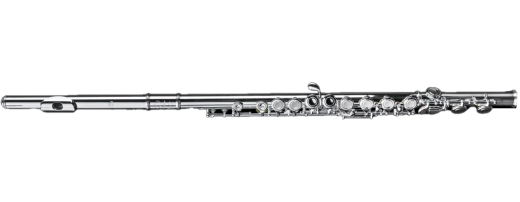 Di Zhao Flutes - DZ 301 Sterling Silver Flute with Offset G, Split-E Mechanism, Closed Hole