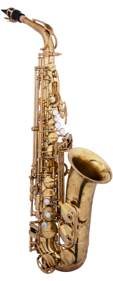 JAS1100NBQ 1100 Series Alto Saxophone with Case - Natural Brass