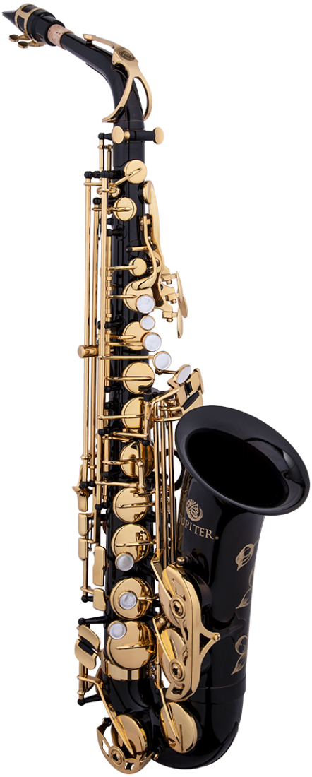 JAS1100GOQ 1100 Series Alto Saxophone with Case - Gilded Onyx
