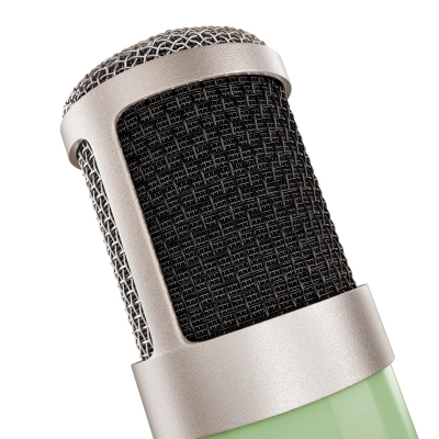 UA Bock 251 Tube Condenser Microphone with Power Supply