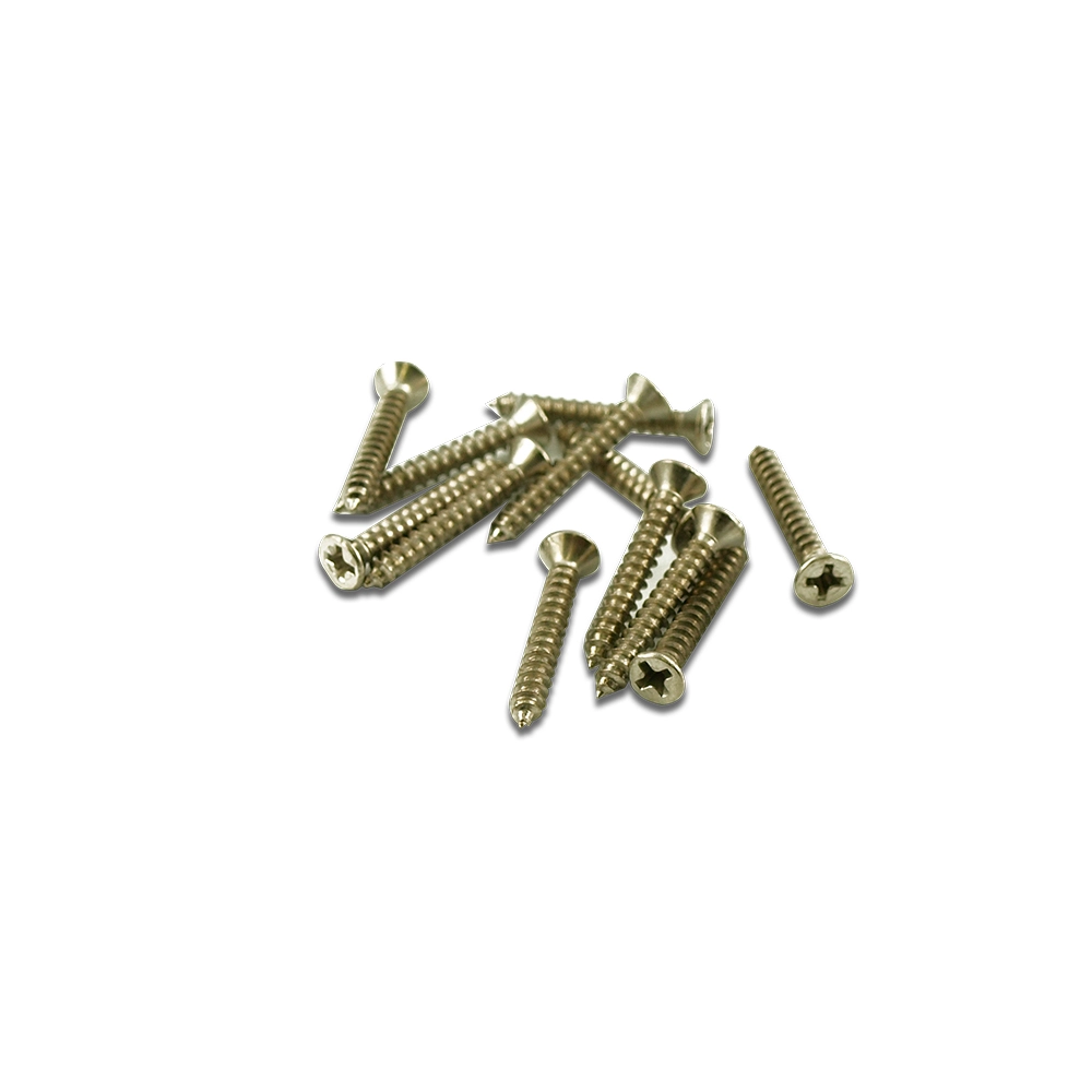 Bass Bridge Mounting Screws - Nickel (12 Pack)