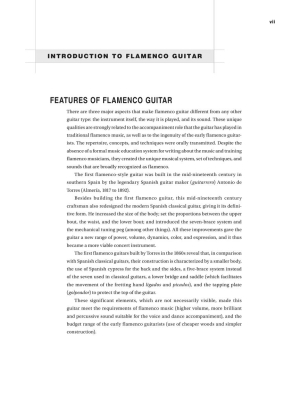 Flamenco Guitar: Technique, Theory and Etudes - Santos - Classical Guitar TAB - Book/Media Online