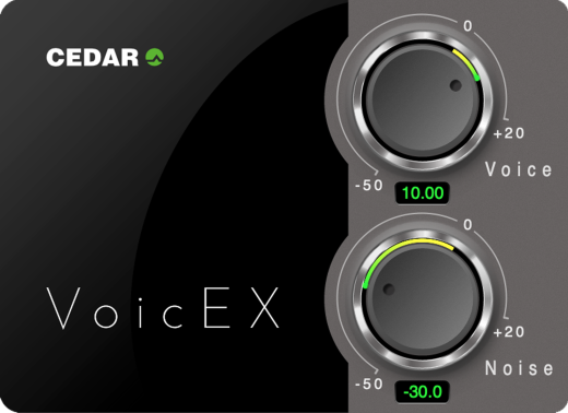 CEDAR Audio - CEDAR VoicEX Plug-In