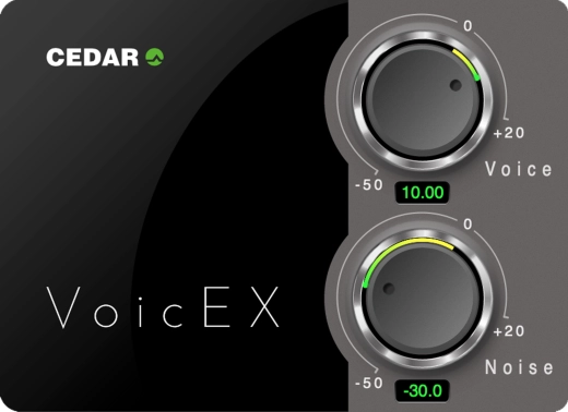 CEDAR VoicEX Plug-In