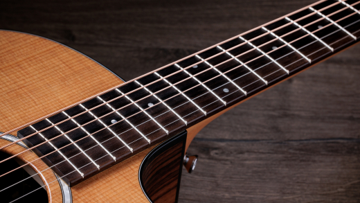 214ce Plus Rosewood/Spruce Acoustic/Electric Guitar with Gigbag