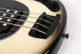 StingRay4 Special 4 H Electric Bass with Case - Brulee