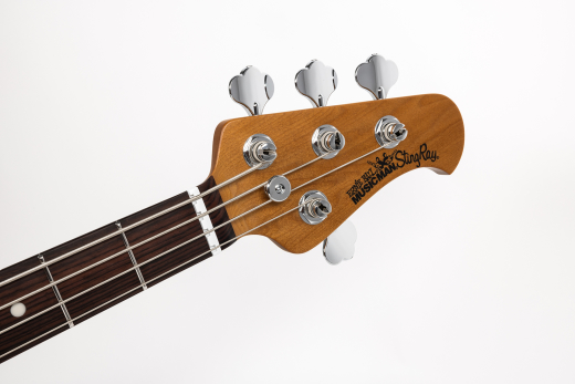 StingRay4 Special 4 H Electric Bass with Case - Genius Gold