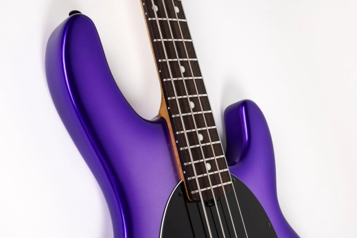 StingRay4 Special 4 H Electric Bass with Case - Grape Crush