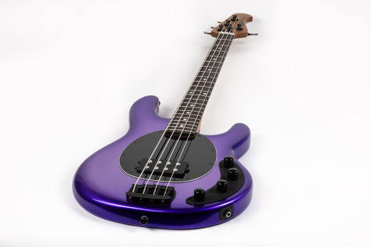 StingRay4 Special 4 H Electric Bass with Case - Grape Crush