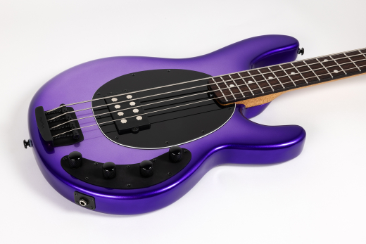 StingRay4 Special 4 H Electric Bass with Case - Grape Crush