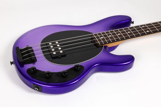 StingRay4 Special 4 H Electric Bass with Case - Grape Crush