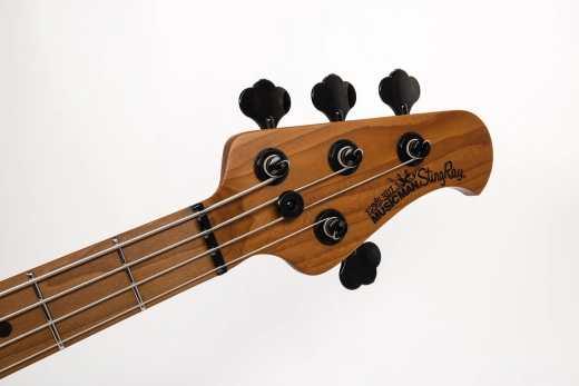 StingRay4 Special 4 H Electric Bass with Case - Black Rock