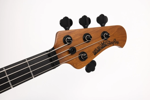 StingRay4 Special 4 HH Electric Bass with Case - Brulee