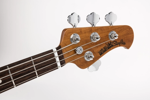 StingRay4 Special 4 HH Electric Bass with Case - Genius Gold