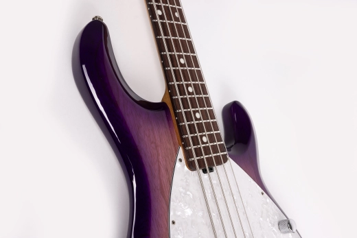 StingRay5 Special 5 H 5-String Electric Bass with Case - Purple Sunset