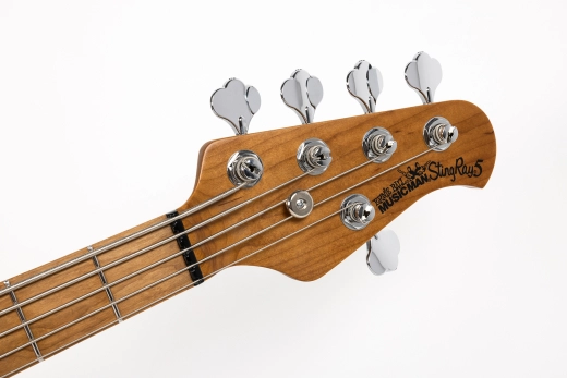 StingRay5 Special 5 H 5-String Electric Bass with Case - Hot Honey