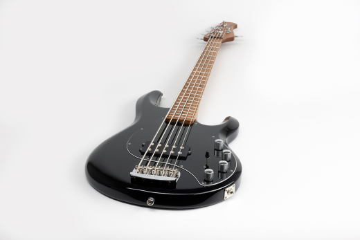 StingRay5 Special 5 H 5-String Electric Bass with Case - Black
