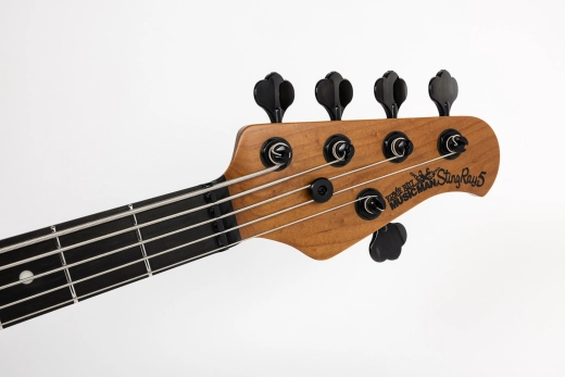 StingRay5 Special 5 H 5-String Electric Bass with Case - Brulee