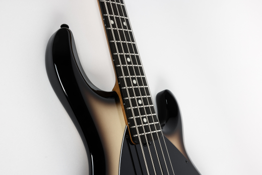 StingRay5 Special 5 H 5-String Electric Bass with Case - Brulee