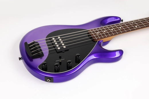 StingRay5 Special 5 H 5-String Electric Bass with Case - Grape Crush