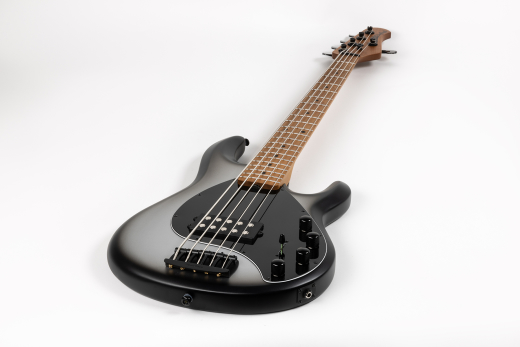 StingRay5 Special 5 H 5-String Electric Bass with Case - Black Rock