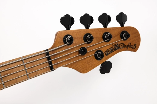 StingRay5 Special 5 H 5-String Electric Bass with Case - Black Rock