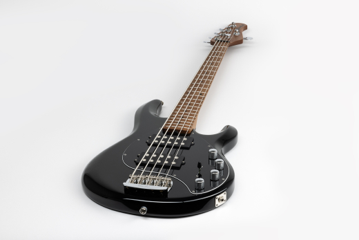 StingRay5 Special 5 HH 5-String Electric Bass with Case - Black