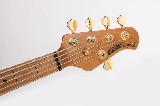 StingRay5 Special 5 HH 5-String Electric Bass with Case - Jackpot