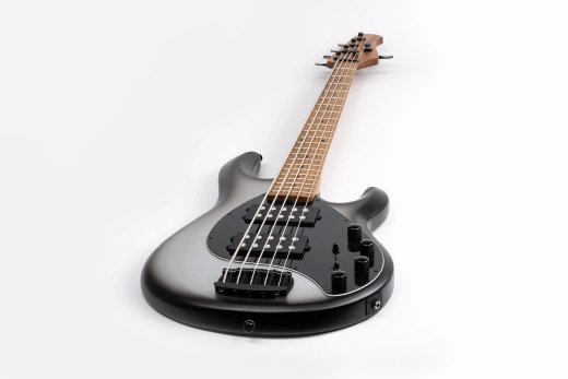 StingRay5 Special 5 HH 5-String Electric Bass with Case - Black Rock