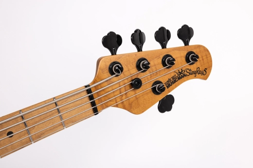 StingRay5 Special 5 HH 5-String Electric Bass with Case - Black Rock