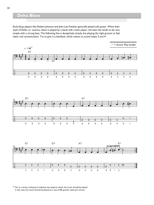 Bass Line Encyclopedia: Over 100 Bass Lines in All Styles - Ferguson - Bass Guitar - Book