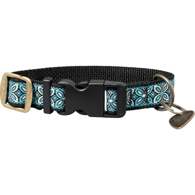 Guitar Strap & Matching Dog Collar - Blue
