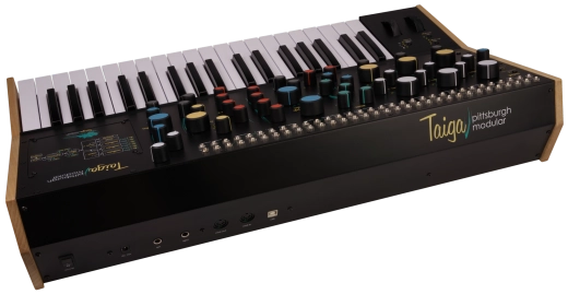 Taiga Keyboard 37 key Modern Analog Synthesizer